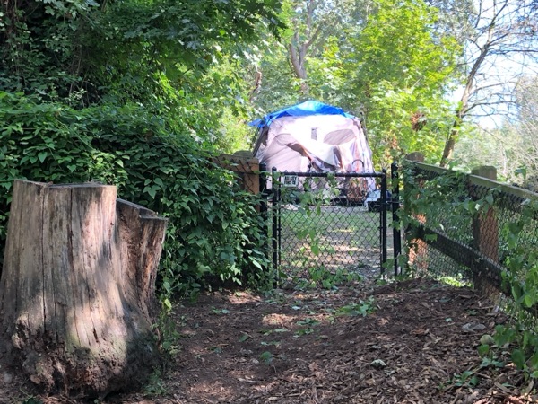 A tent pitched directly against the back fence of Kinnear's off-leash dog area, photographed July 2019